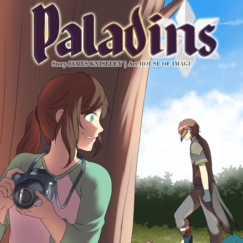 Paladins webcomic : Meet the creators behind the scenes !